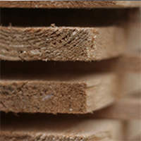 Holz